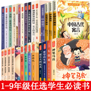 �옷�x����С�W���������x1-9�꼉�n����xС���~�����T����ͯԒ
