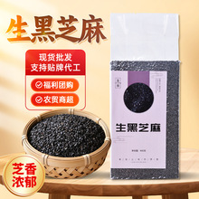 新货生黑芝麻粒驻马店生芝麻仁油麻无沙无染色批发散装真空装芝麻