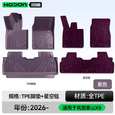Parts Carpet Accessories Collection, Modelə uyğun ayaqaltı - lantu-taishan-x8-26-models-double-layer-foot-pad-purple-tpe-thickened-purple-starry-sky-blanket-starlight-embellishment