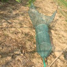 �����w�C�W���ڰ��־W�S�X���r�з�O�W�O��ʮĿ�����׾W��