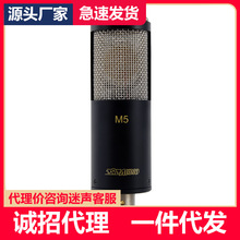 北京797Audio M5专业电容话筒录音YY主播K歌配音直播麦克风