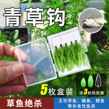 ·������~�h���M��������h��̦���~���~�c�~����·���D���ü��D