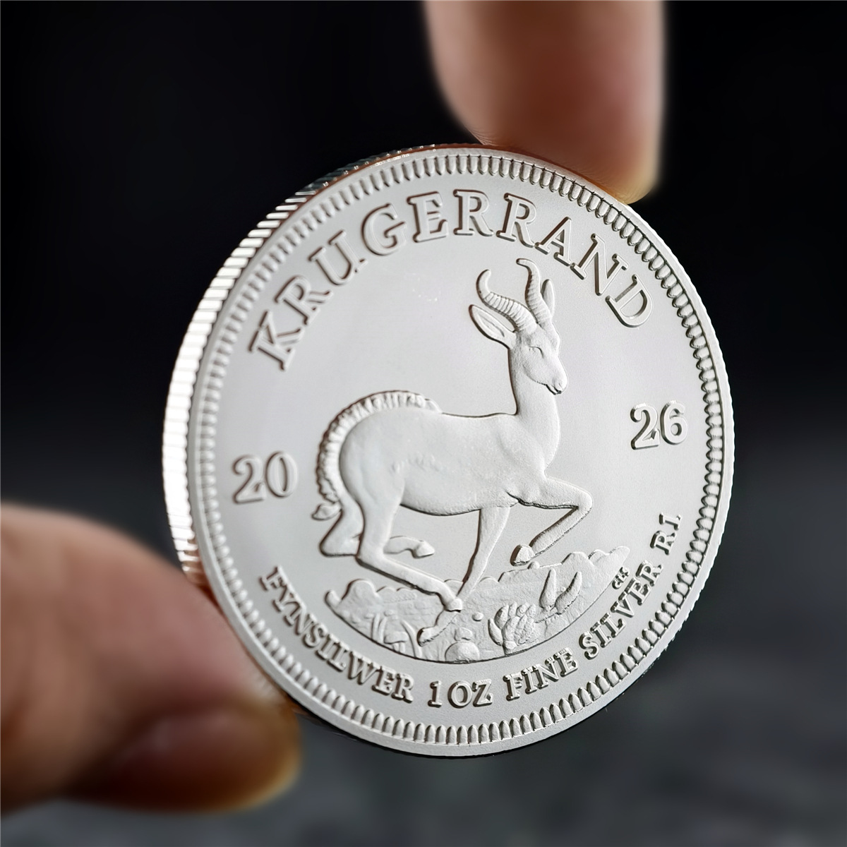 2026南非克鲁格 (5).jpg