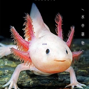 ���ǿ����~һ��һĸ�W�t������ˮ��ˮ�~�^�p�~���B����ϔ󢌙���~