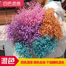 买一送一满天星鲜花干花云南基地直发家庭家用拍照家居摆设千万星