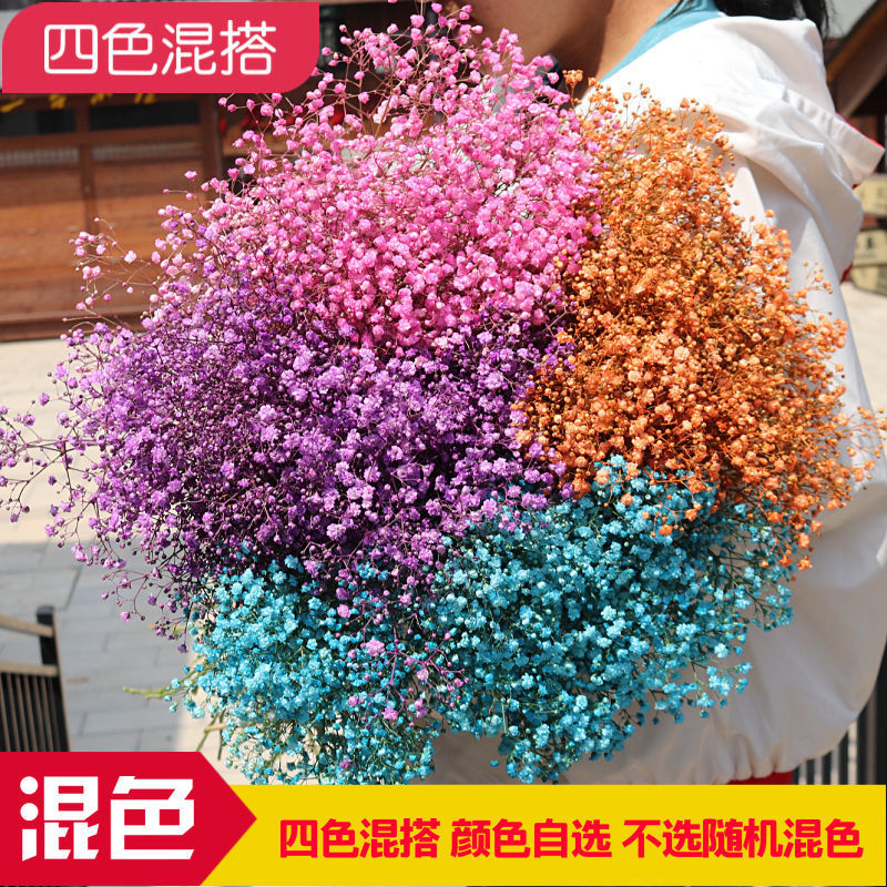 买一送一满天星鲜花干花云南基地直发家庭家用拍照家居摆设千万星