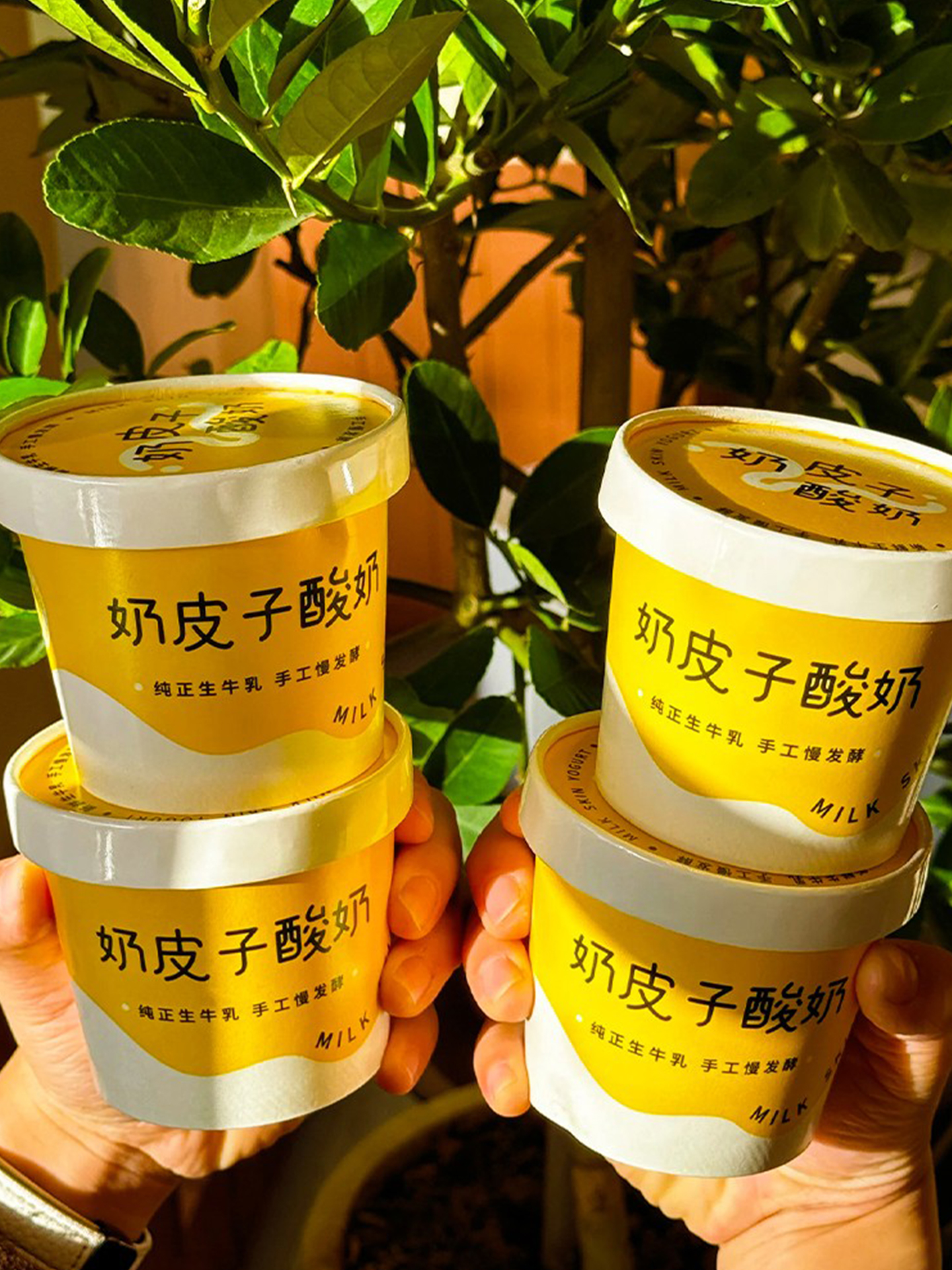 Caja de embalaje de yogur de piel de leche RuiLi doble película de envasado de papel espesado taza de fermentación de yogur hecho a mano un recipiente de embalaje desechable