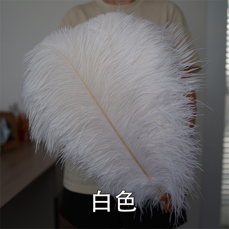55 - 60cm plumas de avestruz de Sudáfrica al por mayor accesorios de ropa DIY accesorios materiales accesorios de diseño de boda lana de avestruz