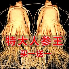 特大长白山鲜人参足龄保鲜人参泡酒煲汤东北特产吉林人参老山人参