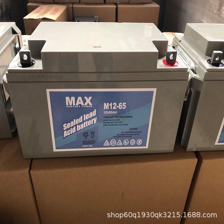 MAX蓄电池M12-38 12V38AH机房UPS配电室 消防照明 EPS直流屏