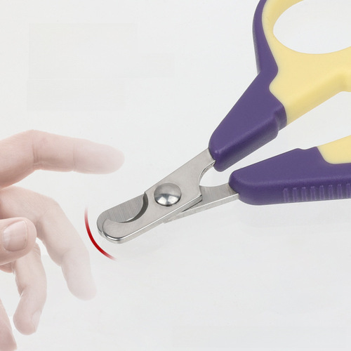 Pet Nail Clipper Cat and Dog Nail Scissors Nail Nipper Nail Cutter Pet Supplies Nail Clipper Wholesale