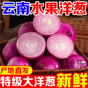 �ϼt���[��֭��Ƥ�tƤ�[�^�F��ˮ�����r�A�[�߲����l�r���ԷN���