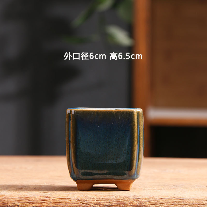 Xinghe cuatro fábricas de macetas de carne doméstica venta directa de plantas de carne cerámica especial maceta de cerámica al por mayor