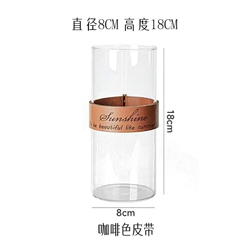 創意皮革手提げガラス生態花瓶杯微景観水培植物花器乾花工芸創意家庭|undefined