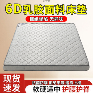 6D Coconut Palm Mattress, Hard Spine Protection Latex Fabric, Household Rental House Single and Double Moisture-Proof Mattress, Foldable Wholesale