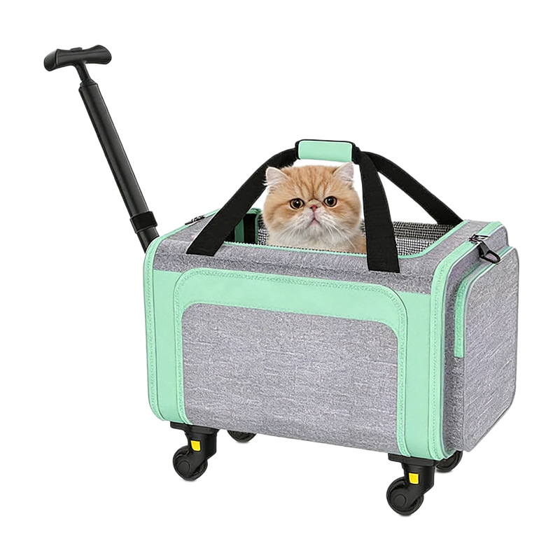 Túi vận chuyển thú cưng gấp gọn có bánh xe, dung tích lớn, thoáng khí, có thể ngồi hoặc nằm — Bột sáng