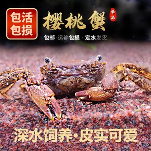 ������ˮз����з���w ��ˮ�^�pз ��ˮ�^�pзС�з ����Ϫз