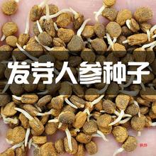 lѿ˅NLɽ˅NֲԲҰɽNʳ