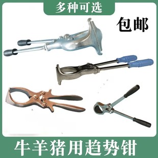 ����������څ���Q���P䓟oѪȥ����ţ��ȥ���Q鎸��Qɿ�i鎸���