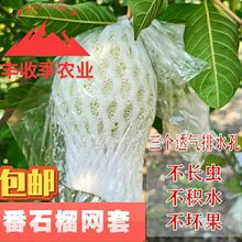 芭乐番石榴套袋水果网套泡沫套袋防虫保护袋水果防虫保护一体袋