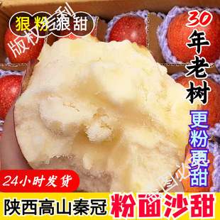 ����ɳ���O������t�ع��O�����ˋ냺�ЋD�ι�������r9���]