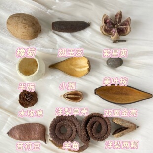 ?�M��ֲ������ɻ����������˱�diy�ֹ��������lһ�����l