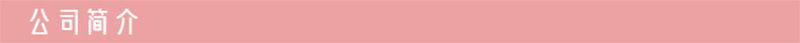 公司简介