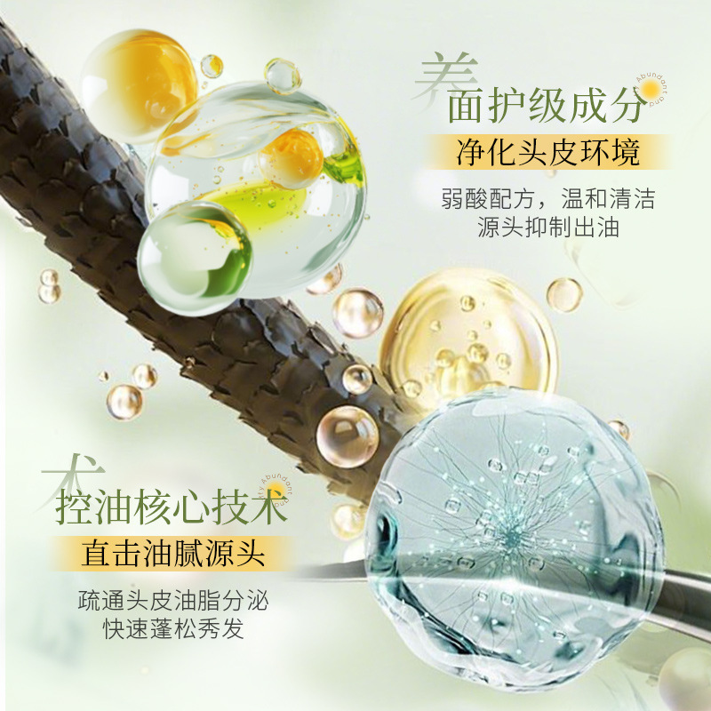 形象美·供白茶氨基酸控油洗发露深层清洁香氛洗发水洗护厂家批发|undefined