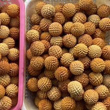 ��Ф��ˇƷֱ���ְѼ���ɏ�ײ��°ؒ���ְѼ���Ф��������������