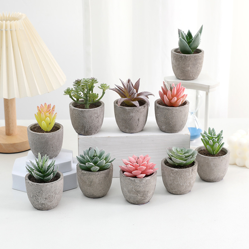 鉢植えのパルプの植毛の多い肉の鉢植えの家庭のデスクトップの事務室の置物をシミュレーションします。|undefined