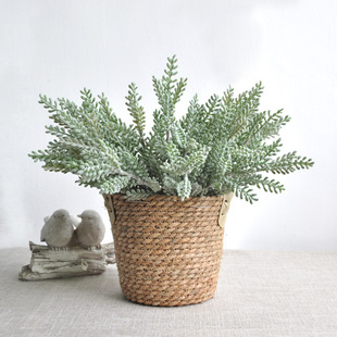 ֲë��������滨���мٻ�ֲë�廨���ֲ���c���üҾ��b����l