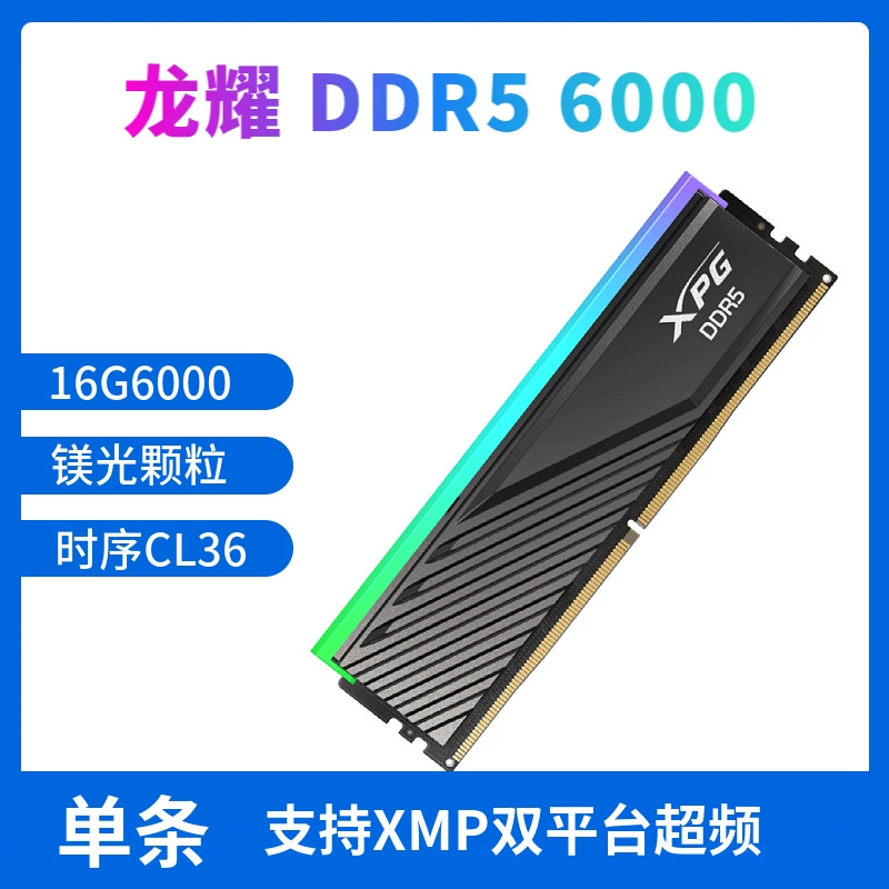 RAM, D300, D300, 300G, G16, 16G, G32, 32G, G60006400, (Physicals)