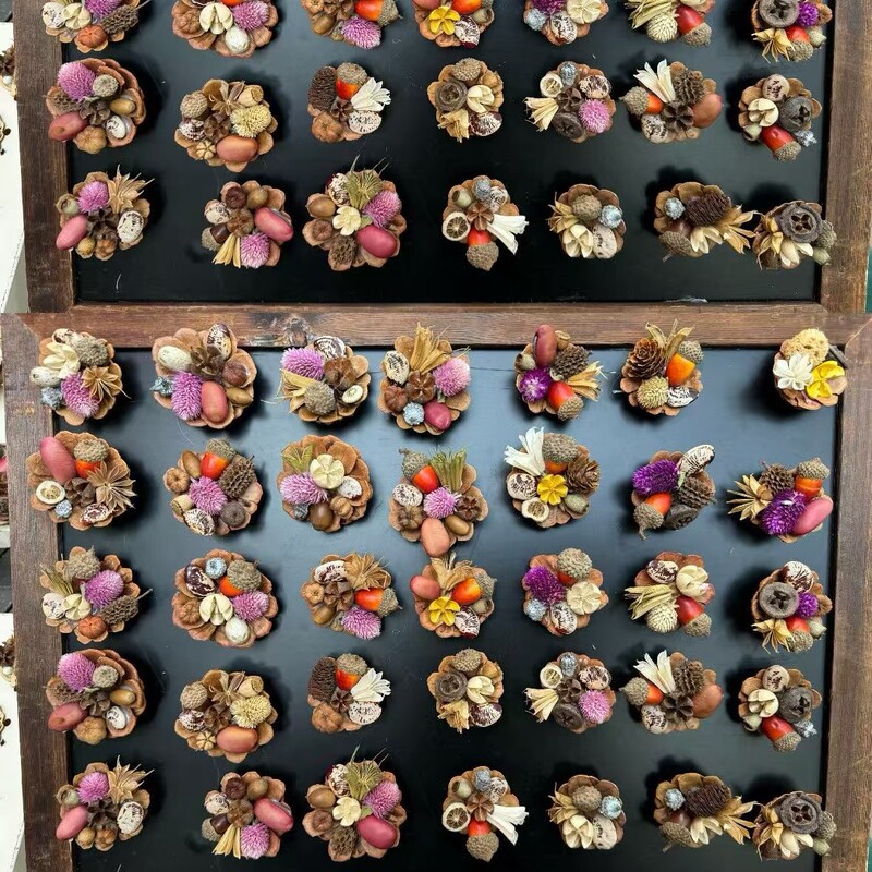 云南松塔真植物diy森系冰箱帖标本伴手礼家居墙面装饰品|undefined