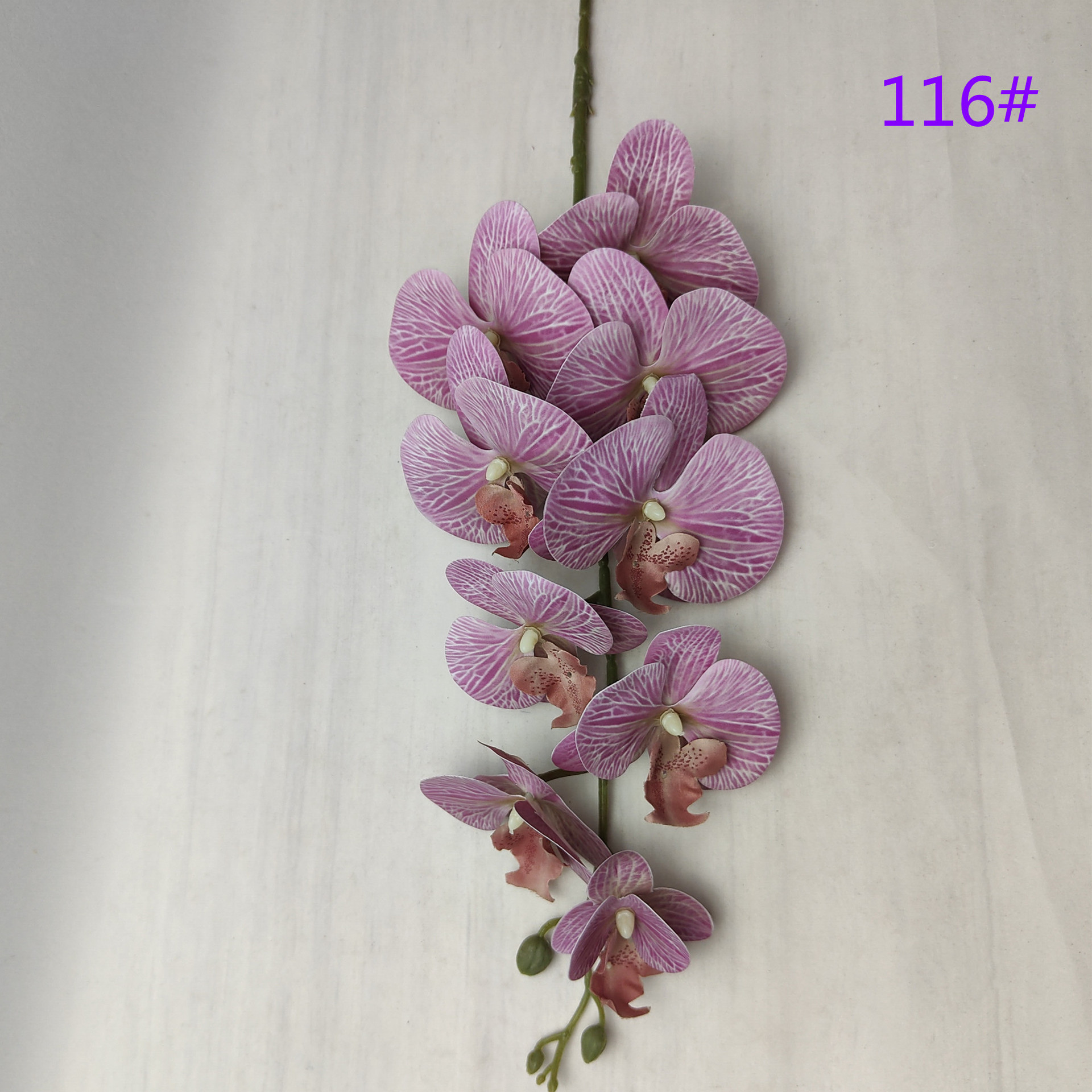 IMG20230510132028_副本