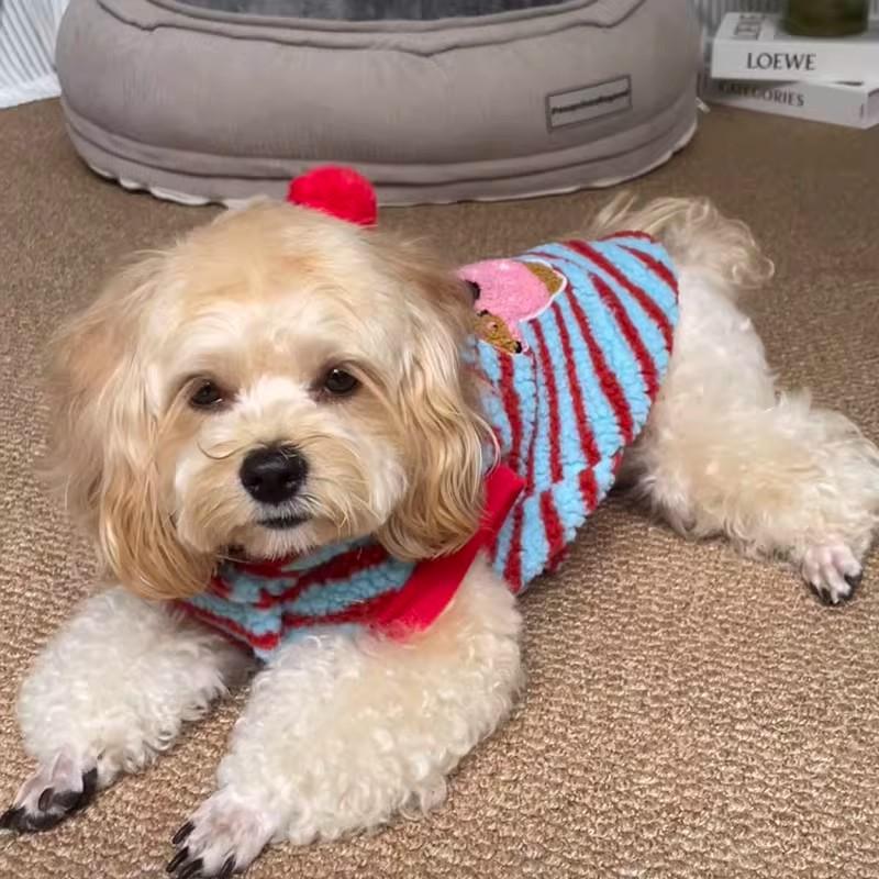 Otoño y invierno ropa de mascotas salchicha perro camiseta pequeño cachorro que osos Teddy Schnauzer gatito cachorro perro ropa de invierno
