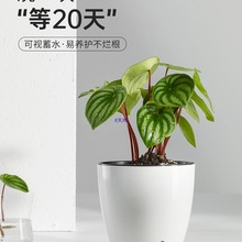 �G�}�j���˻����Ԅ���ˮ���҃���������B���ش���̖���ϻ���