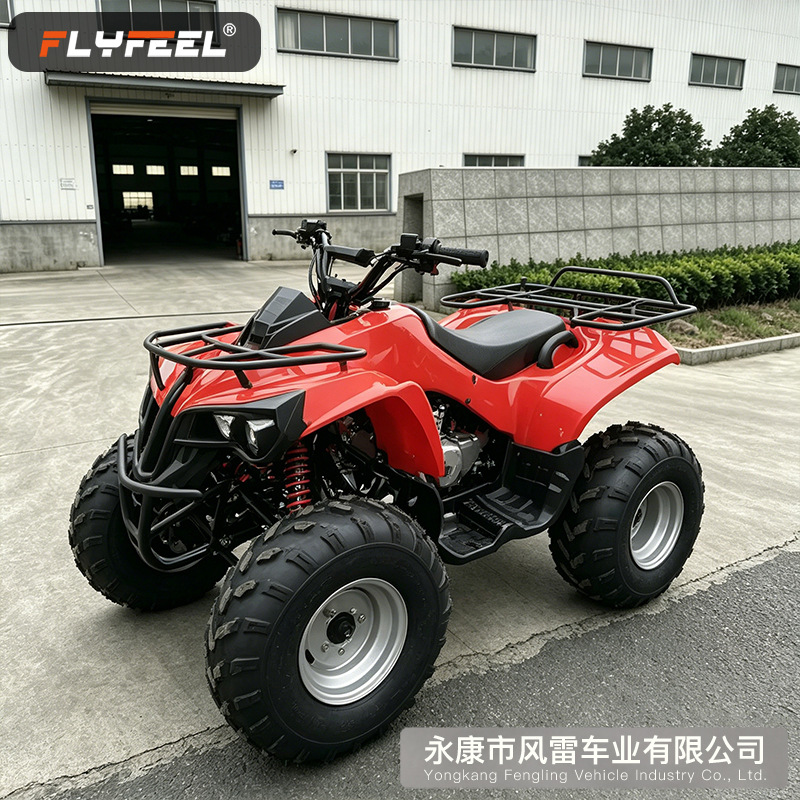 Cuatrimoto Todoterreno ATV 125cc Automática para Parques image 3