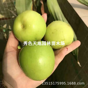 ���������̨�r13̖ѩ���ۗ����۽z���O��ţ�̗��޽ӹ��䮔��Y��