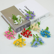 ���滨ܛ�z�M���ǻ�����@�����Ĕz�����滨��c·�����öY���b�