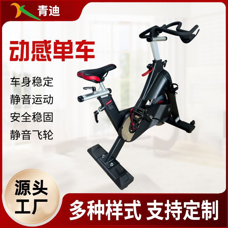 Spinning Commercial Indoor Small Weight Loss Special Exercise Bike Equipment Exercise Mute Pedal Aerobic Exercise Bike