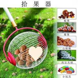 水果高尔夫网球收集器捡拾果神器快速捡球工具核桃板栗坚果青梅子