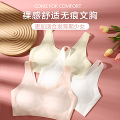 Teenage Bra for Developmental Stage, Seamless Underwear for High School Students, Wire-Free Vest-Style Design, Summer Thin Version