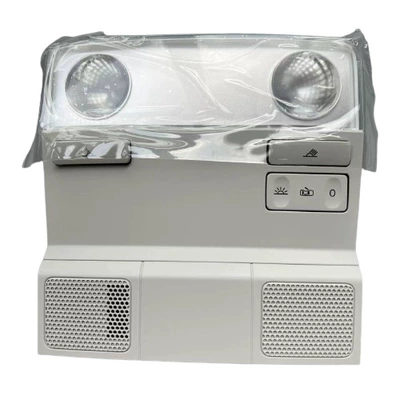 Tiguan Headlight Reading – Roof Light