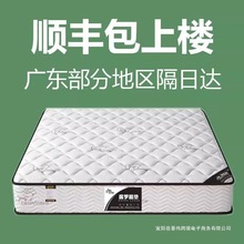 香港海马出租房家用垫子静音专用20软床垫椰棕弹簧乳胶厚床垫