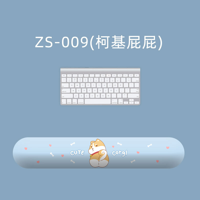ZS-009
