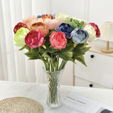 ����ĵ������֧��ɫ�Ҿ��b����[�������ٻ�ĵ�����������û���