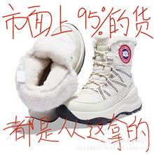 ѩѥŮ2025¿ӽqӺ񶬼ˮůѥɽѩЬ