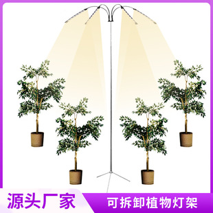 �羳���Nֲ�����L��֧�ܲ��P�С�F�ܿ��ƄӲ�ж���ʽ���_��