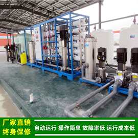 两级反渗透水处理设备工业ro二级反渗透纯水机25吨/小时绿健供应