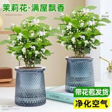 ����ֲ�������r���҃Ⱥ��B���ļ��_���Gֲˮ�B�d�ӻ������㻨��